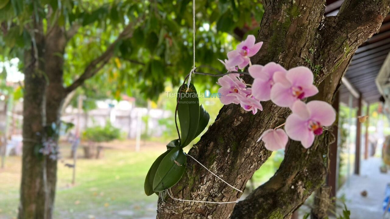 Ranch for vacation rental in Itaparica (Centro)