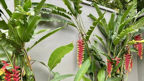 Casa con hermosa vista al mar, piscina, barbacoa