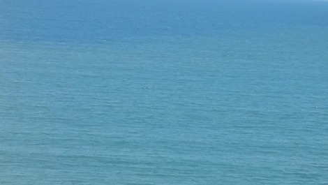 Mar 30 passos somente