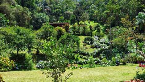 Sitio en la Mata Atlántica