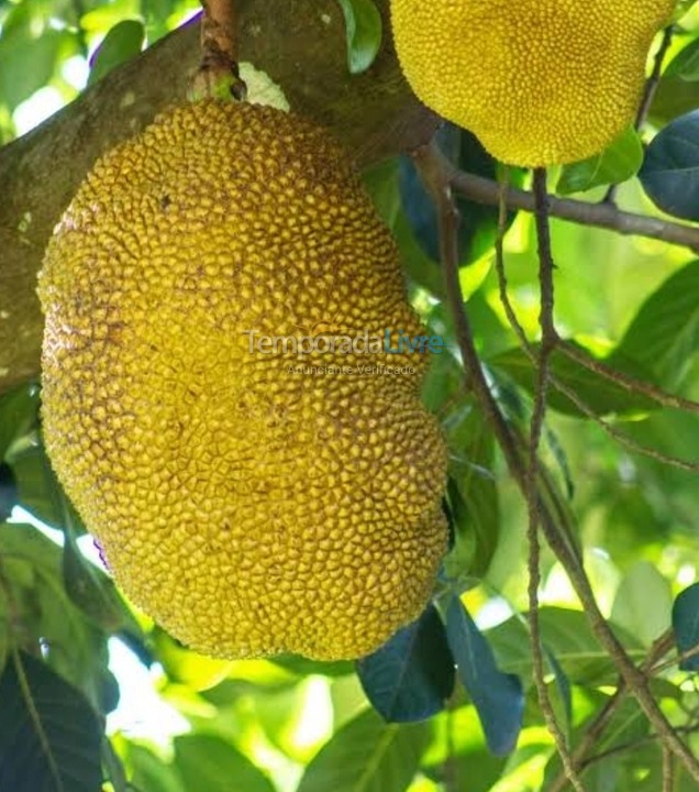 Casa para alquiler de vacaciones em Ilhabela (Perequê)