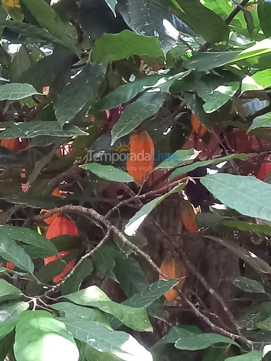 Casa para alquiler de vacaciones em Ilhabela (Perequê)