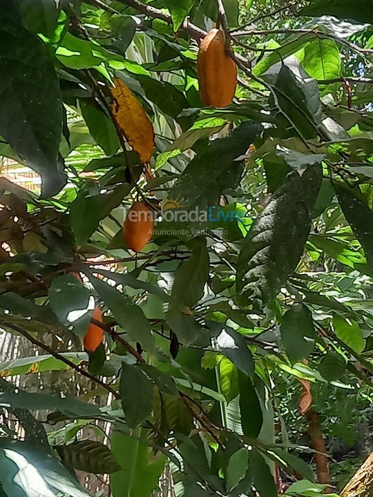 Casa para alquiler de vacaciones em Ilhabela (Perequê)