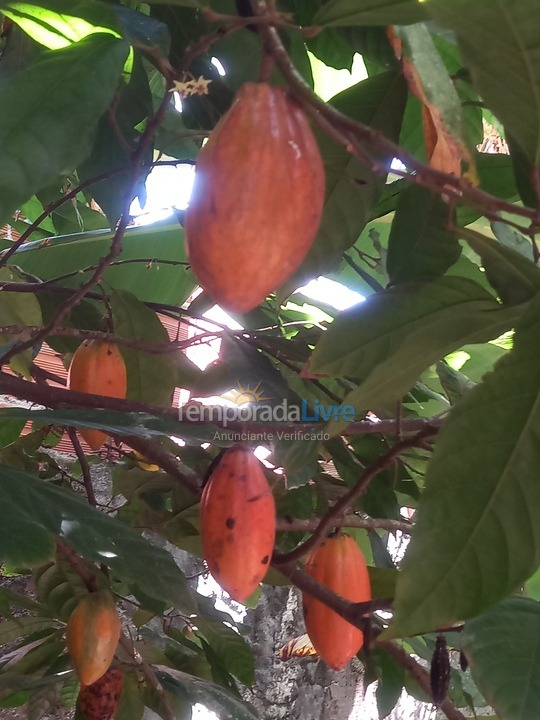 Casa para alquiler de vacaciones em Ilhabela (Perequê)