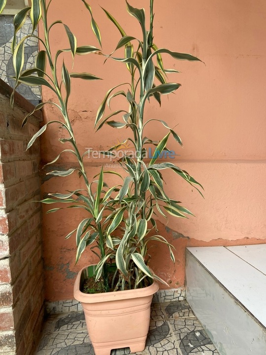 House for vacation rental in Paraty (Bom Retiro)