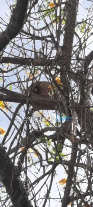 Granja para alquiler de vacaciones em Atibaia (Portão)
