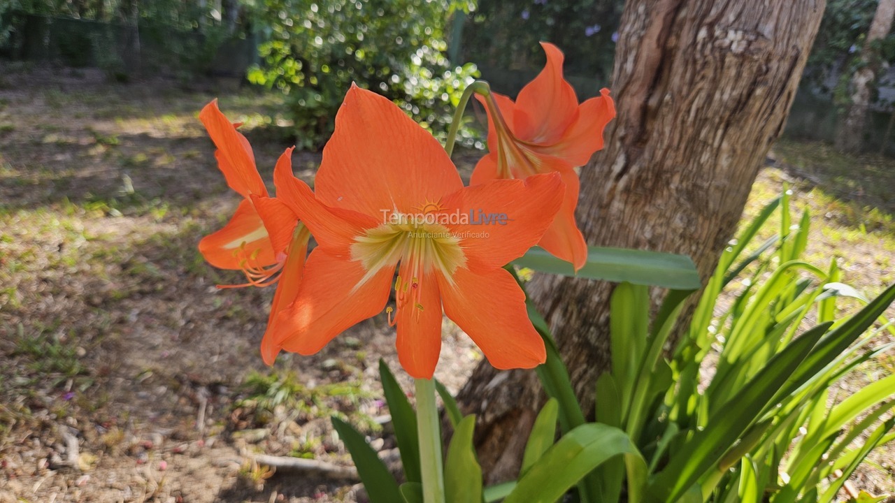 Casa para alquiler de vacaciones em Arraial D'ajuda (Arraial dajuda)