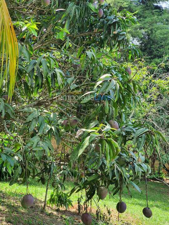 Chácara / sítio para aluguel de temporada em Mairiporã (Mairiporã)