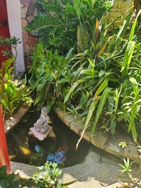 Casa com decoração artística