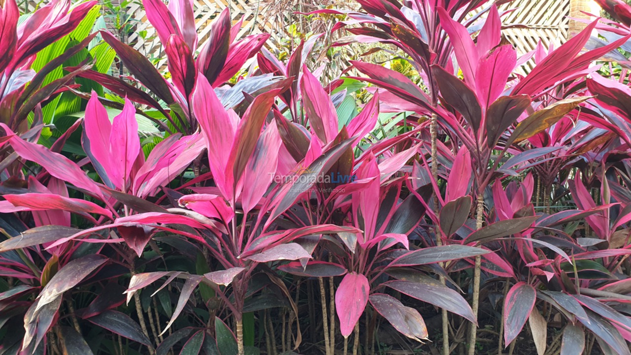 Apartamento para alquiler de vacaciones em Santos (Gonzaga)