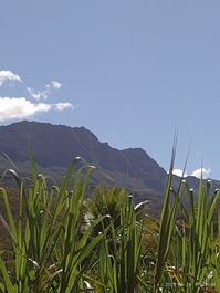 Pequena Chácara em Abaira, Chapada Diamantina-BA