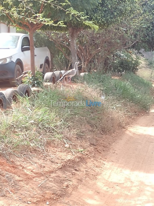 Chácara / sítio para aluguel de temporada em Abaíra (São José de Abaira)