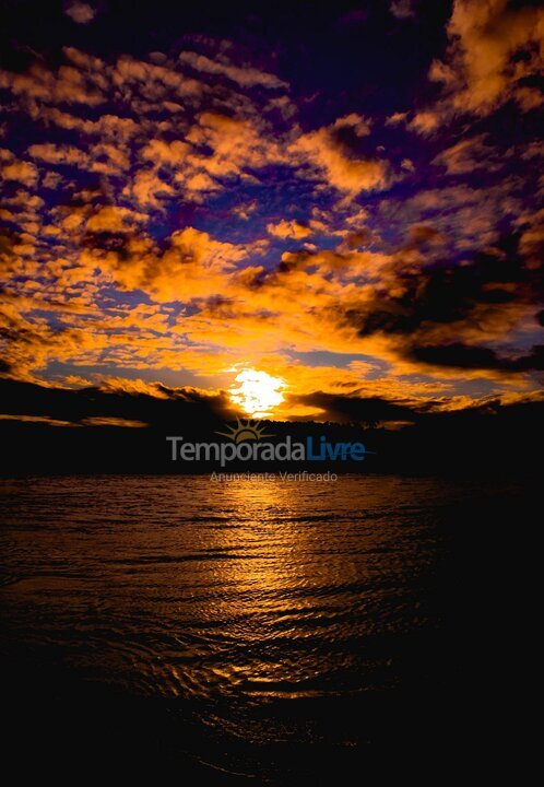 Apartment for vacation rental in Porto de Pedras (Tatuamunha)