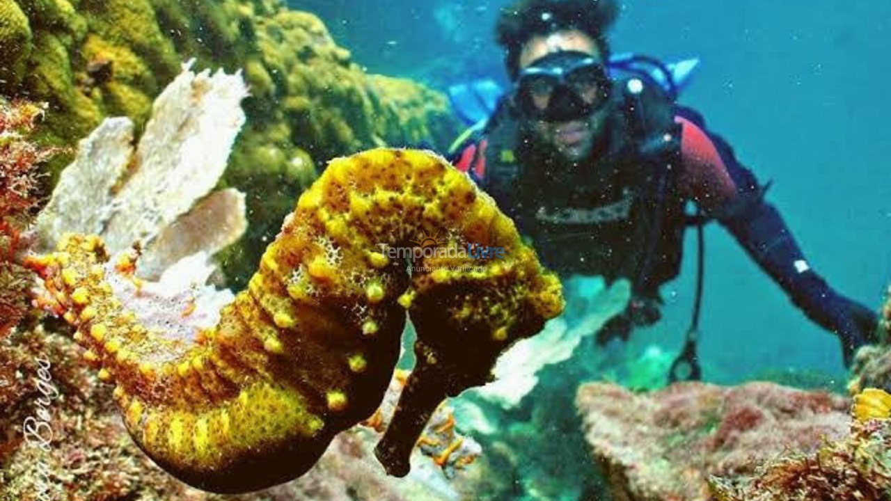 Apartment for vacation rental in Arraial do Cabo (Praia Grande)