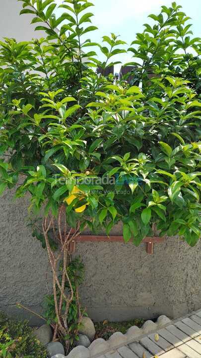 House for vacation rental in São Francisco do Sul (Ubatuba)