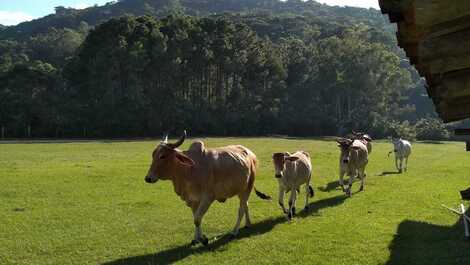 Casa para hasta 9 personas frente a Praia da Ferrugem en Garopaba/SC