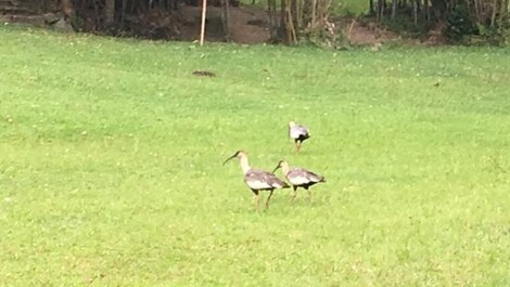 Casa para hasta 9 personas frente a Praia da Ferrugem en Garopaba/SC