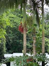 CASA PARAIZO EM MEIO A NATUREZA