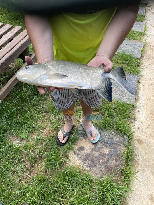 Chácara / sítio para aluguel de temporada em Mendes (5 Lagos)