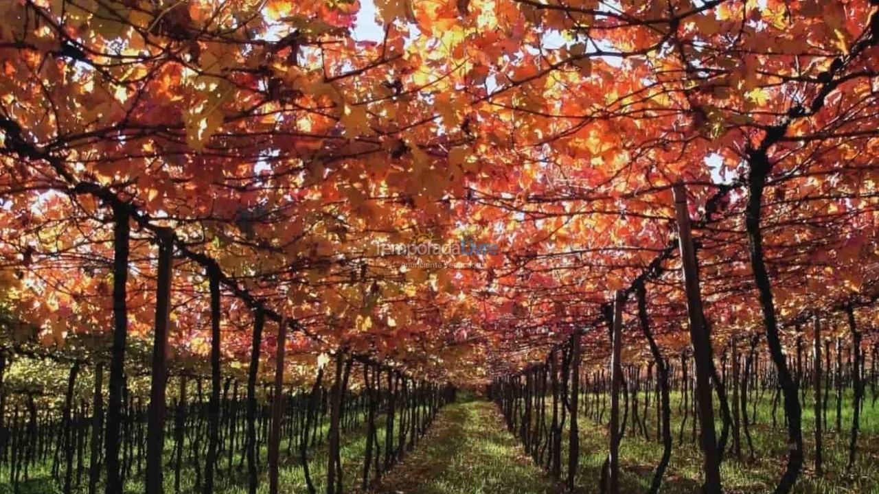 Casa para aluguel de temporada em Bento Gonçalves (Centrovale dos Vinhedos)