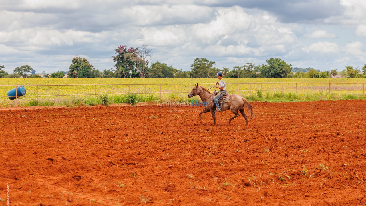 Granja para alquiler de vacaciones em Cesário Lange (Bairro Aleluia)