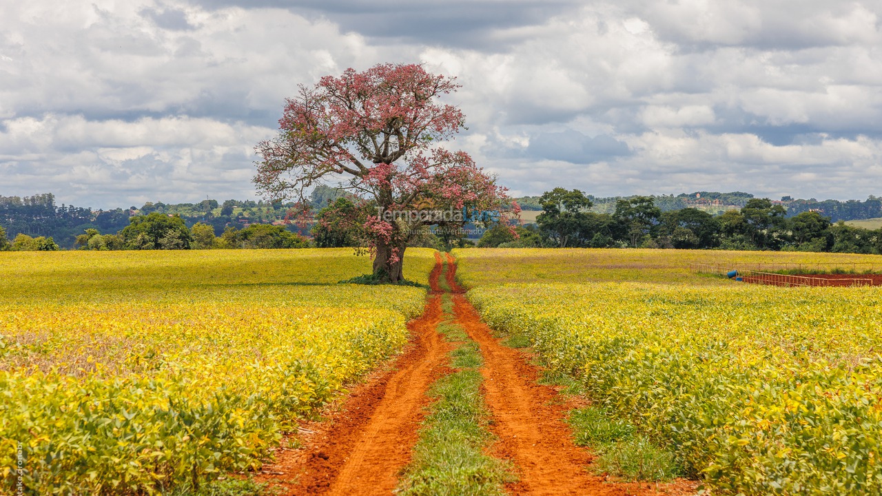 Ranch for vacation rental in Cesário Lange (Bairro Aleluia)