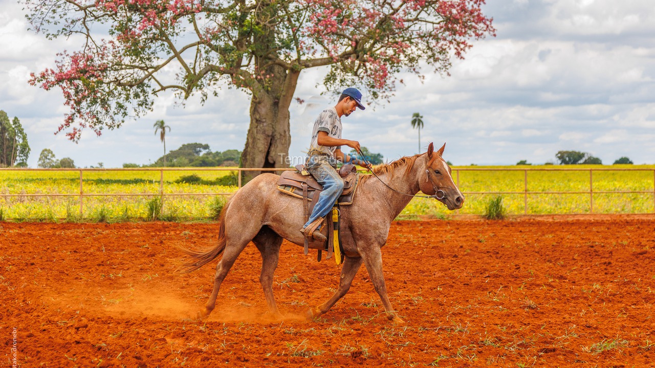 Ranch for vacation rental in Cesário Lange (Bairro Aleluia)