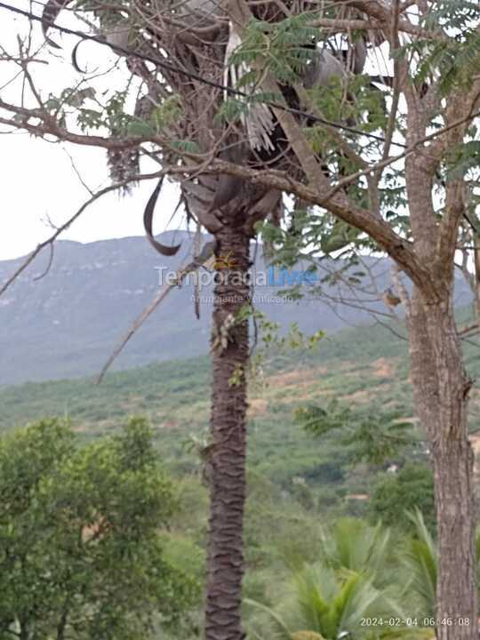 Chácara / sítio para aluguel de temporada em Abaíra (São José de Abaira)