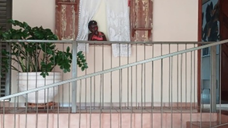 Casa para alugar em Frutal - Centro