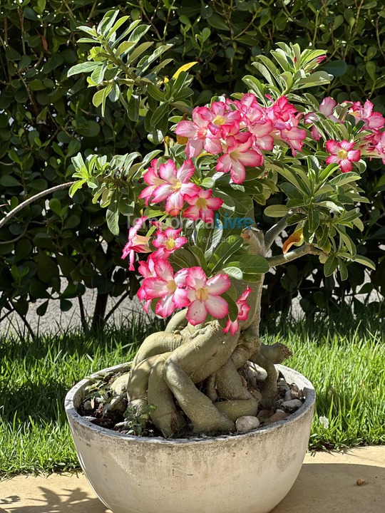 Casa para alquiler de vacaciones em Camaçari (Praia de Guarajuba)