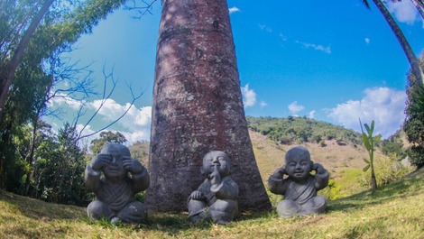 Lindo sítio entre secretário e Sebollas