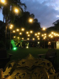 Lindo sítio entre secretário e Sebollas