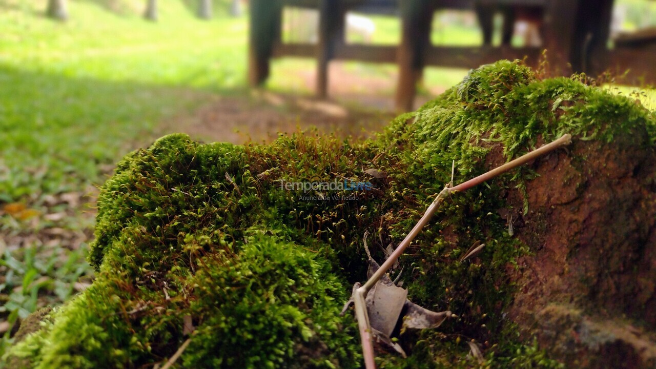 Casa para aluguel de temporada em Monteiro Lobato (Santa Maria)