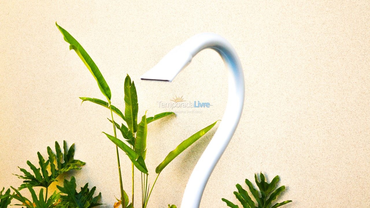 Casa para aluguel de temporada em Olímpia (Thermas Dos Laranjais)