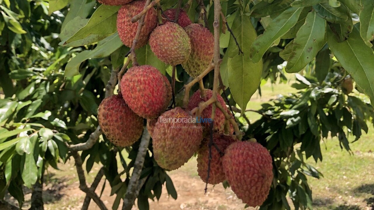 Casa para aluguel de temporada em Quadra (Aleluia Barreiro)