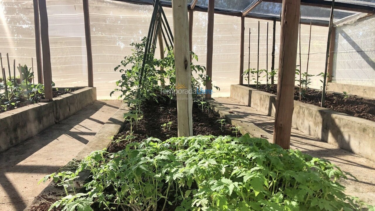 Casa para aluguel de temporada em Quadra (Aleluia Barreiro)