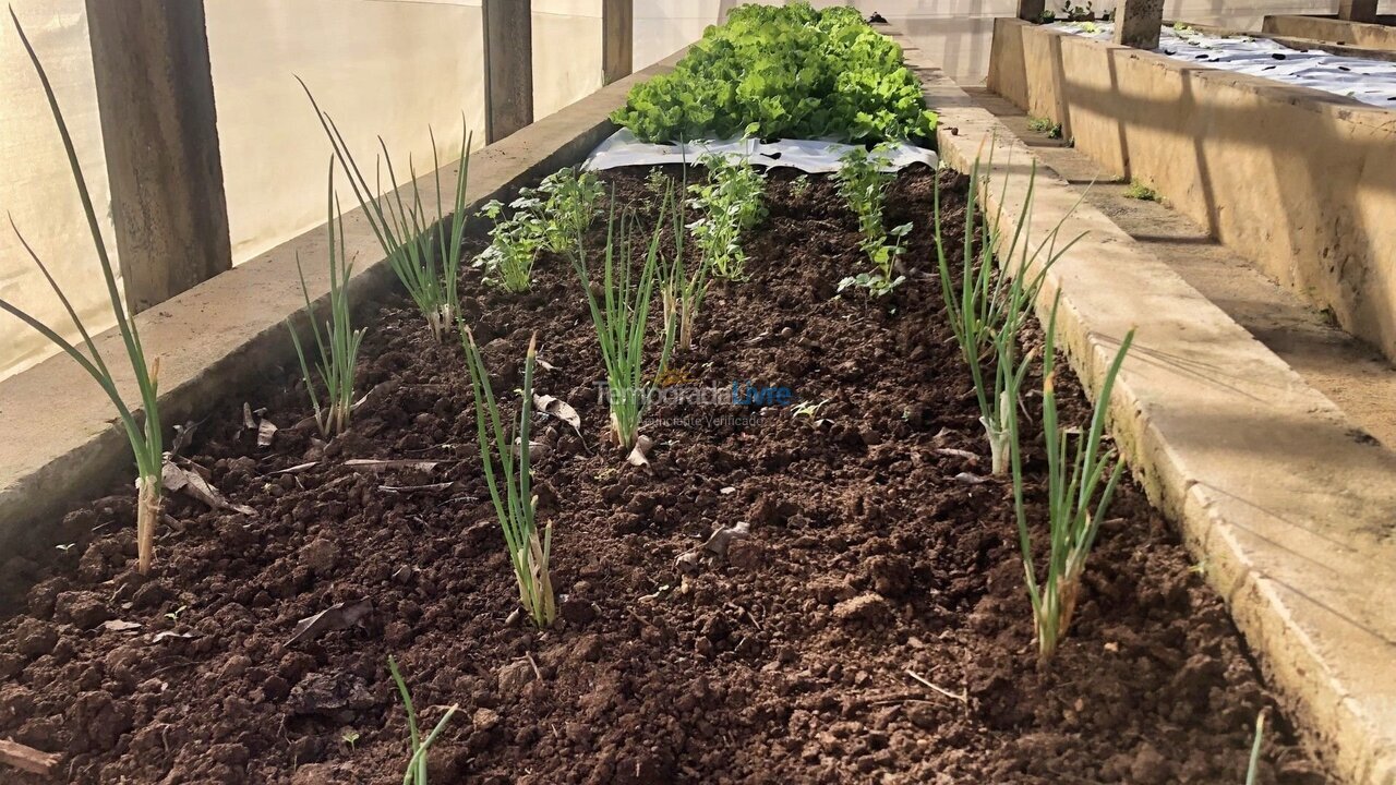 Casa para aluguel de temporada em Quadra (Aleluia Barreiro)