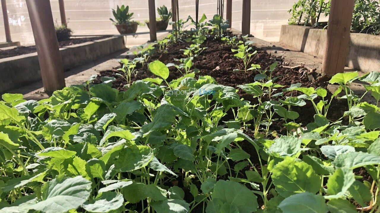Casa para aluguel de temporada em Quadra (Aleluia Barreiro)