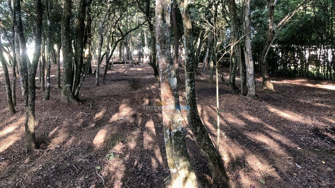 Casa para aluguel de temporada em Quadra (Aleluia Barreiro)