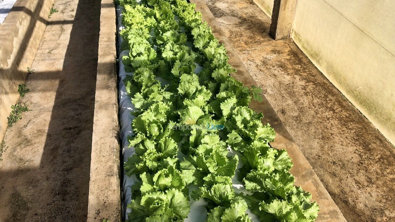 House for vacation rental in Quadra (Aleluia Barreiro)