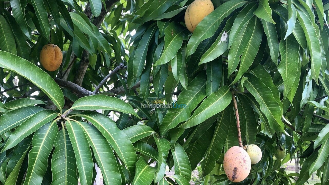 House for vacation rental in Quadra (Aleluia Barreiro)