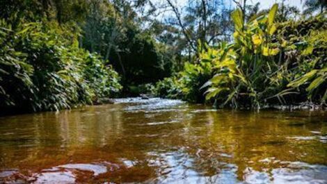 Riacho em frente ao chalé