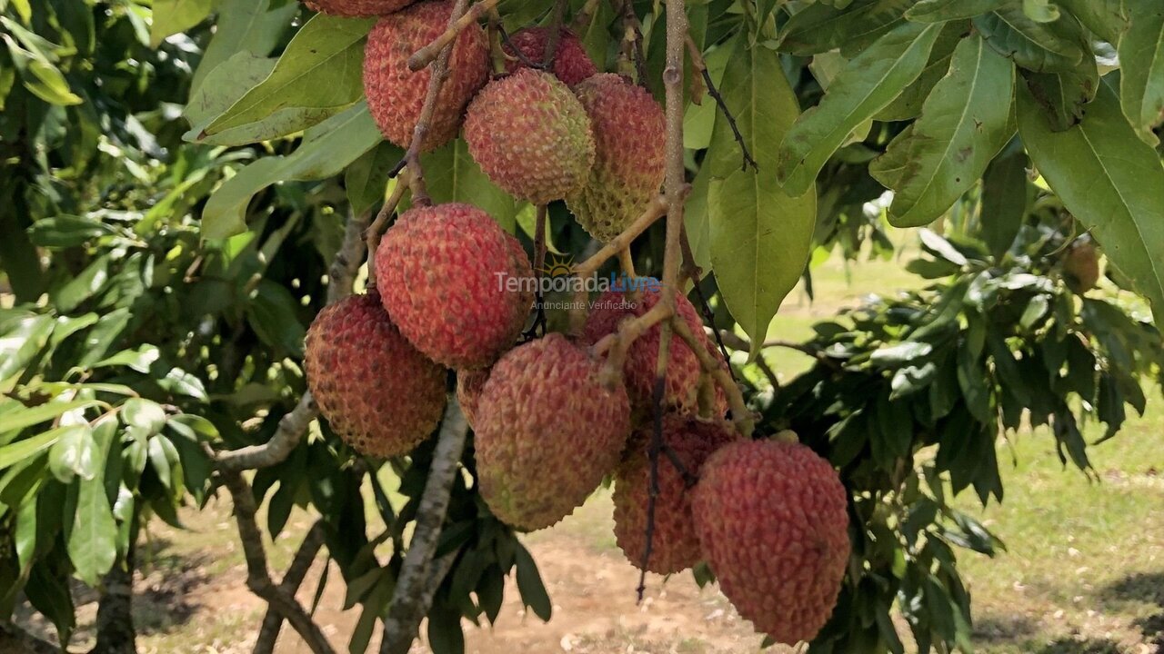 Casa para alquiler de vacaciones em Quadra (Aleluia Barreiro)