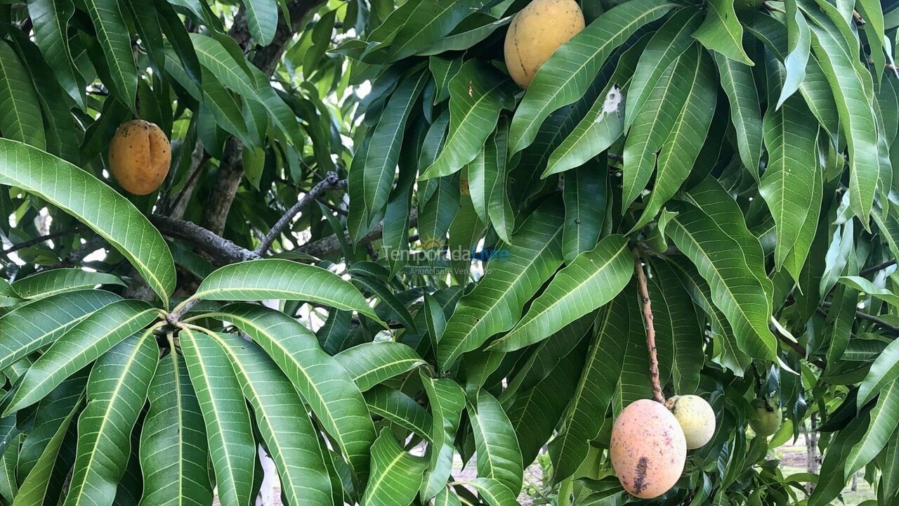 Casa para alquiler de vacaciones em Quadra (Aleluia Barreiro)