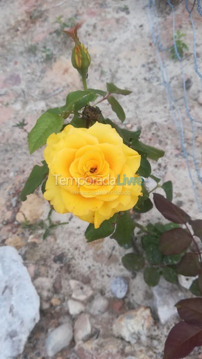 Casa para aluguel de temporada em Ibicoara (Pau Ferro)