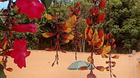 Refugio de casa de campo 🌸