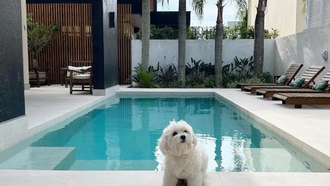 Jurerê Is Magic - Butterfly Mansion