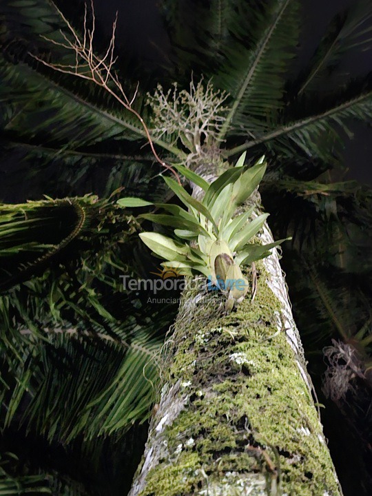 Casa para aluguel de temporada em Bertioga (Praia do Indaiá)