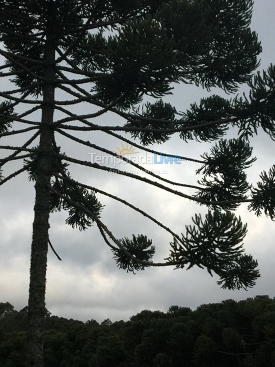 Casa para aluguel de temporada em Monte Verde (Villas de Monte Verde)