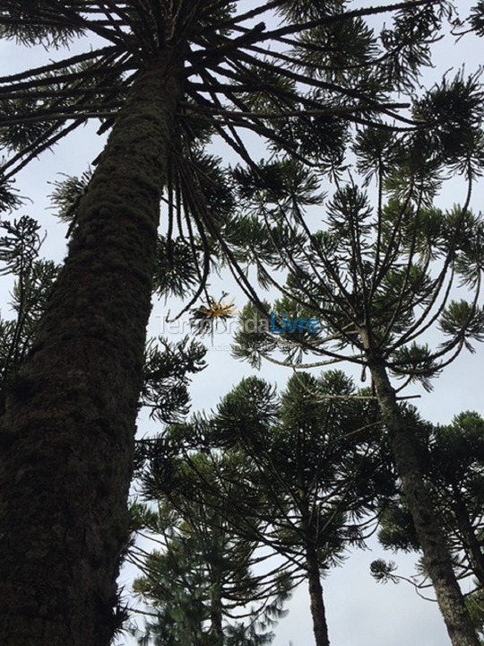 Casa para aluguel de temporada em Monte Verde (Villas de Monte Verde)